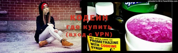 шишки Кодинск