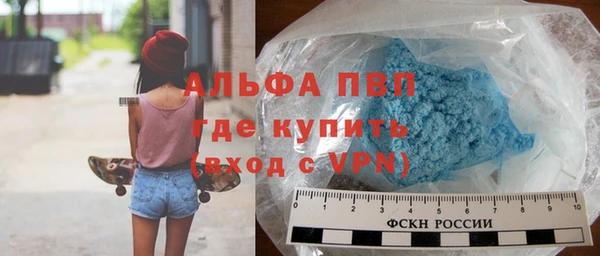 шишки Кодинск