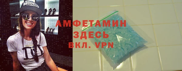 шишки Кодинск