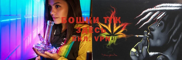 шишки Кодинск