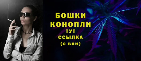 шишки Кодинск