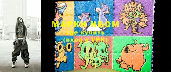 шишки Кодинск