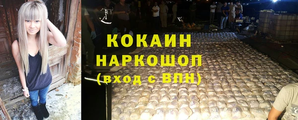 шишки Кодинск