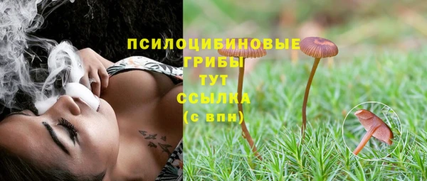 дживик Кинешма