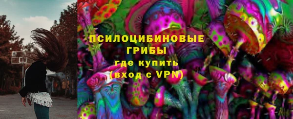 шишки Кодинск